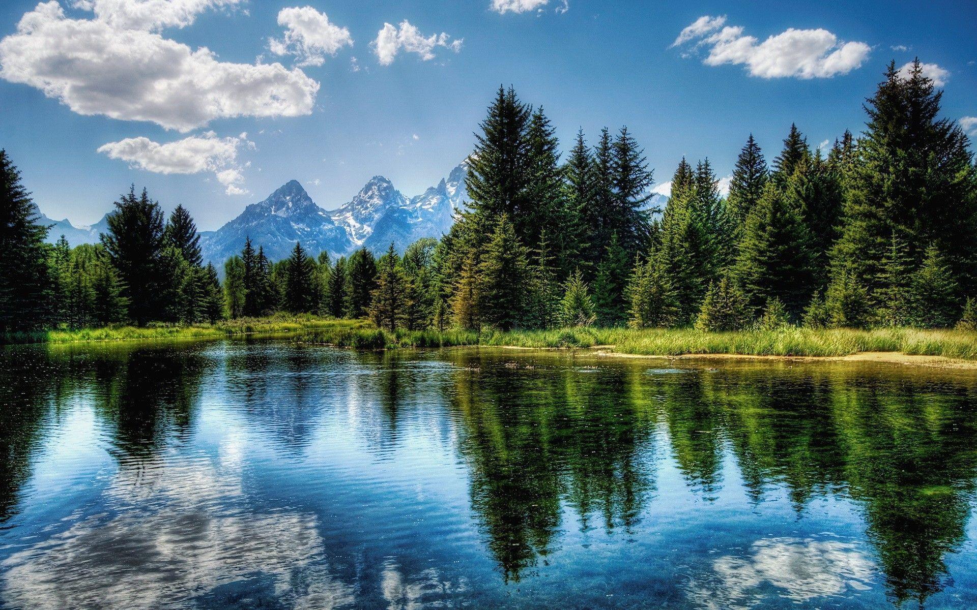A serene landscape depicting a lush green meadow with wildflowers, a peaceful river, and a bright blue sky.