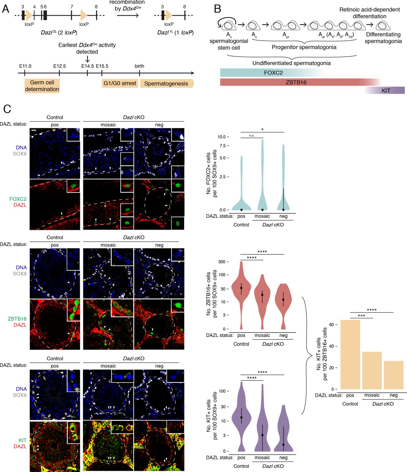 A modern digital workspace featuring the Dazl AI chat tool for application development, showcasing a sleek interface with vibrant visual elements and coding panels.
