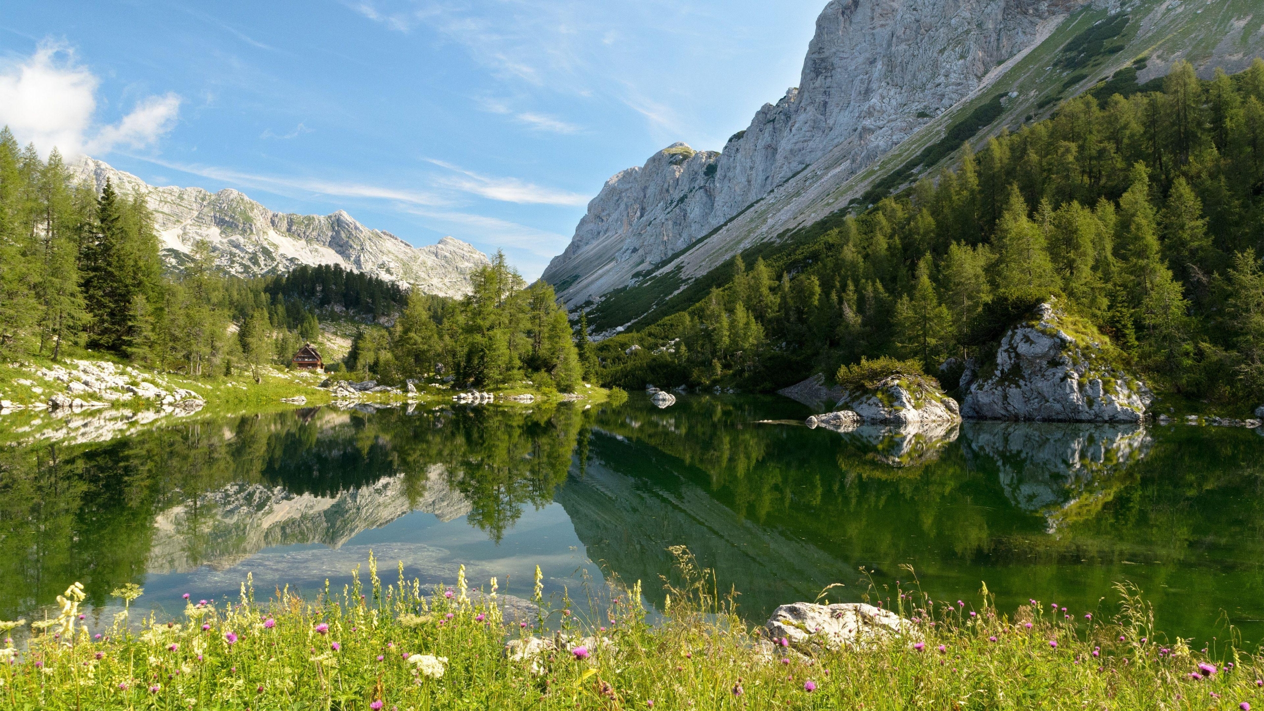 A tranquil lake at sunset surrounded by mountains and wildflowers, with swans gliding on the water.