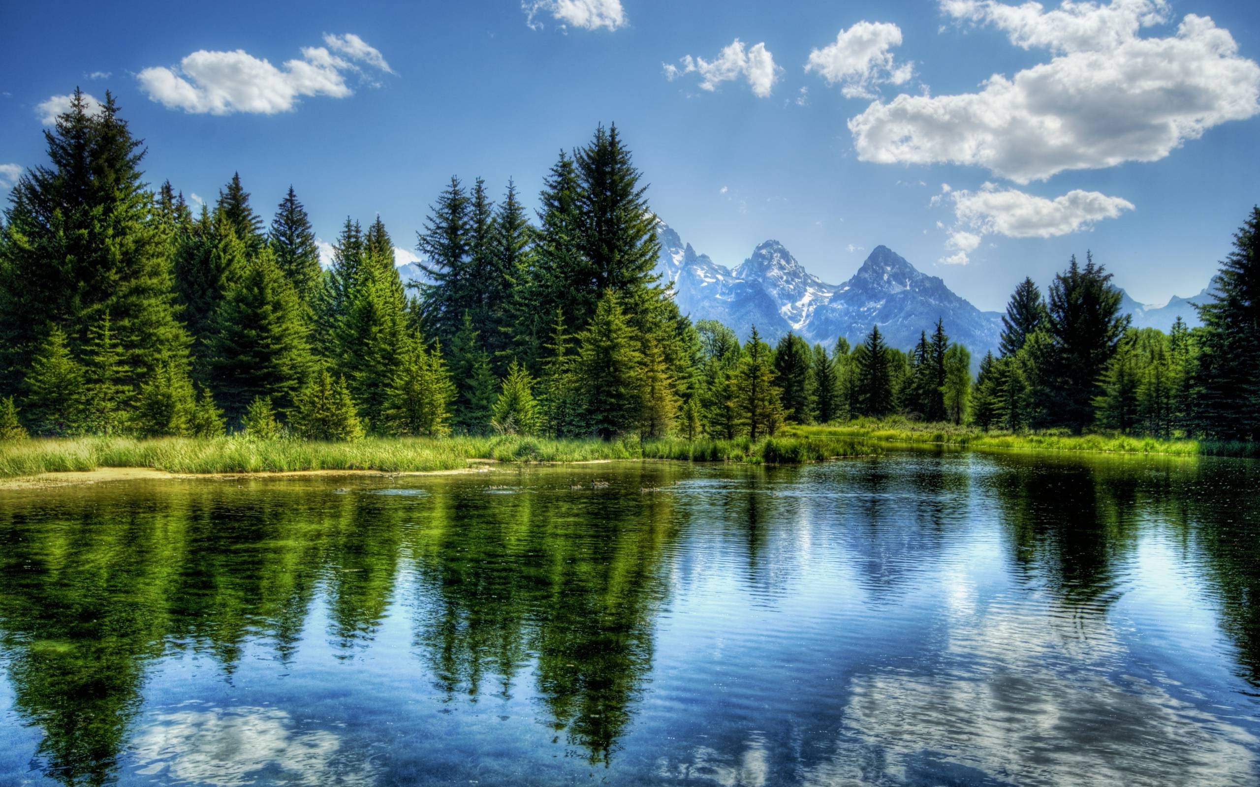 A serene landscape of a lush green meadow with colorful wildflowers, a gentle stream, and majestic mountains under a bright blue sky.