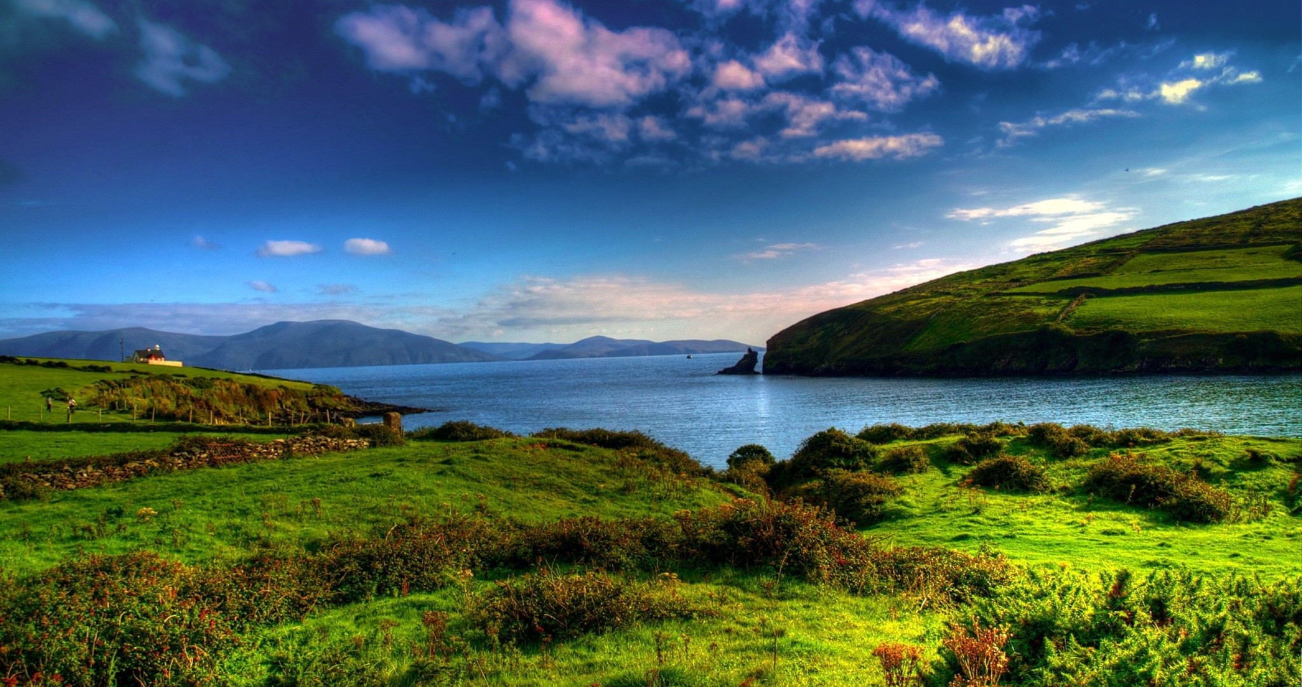 A peaceful landscape featuring a green meadow with wildflowers and a serene stream under a sunset.