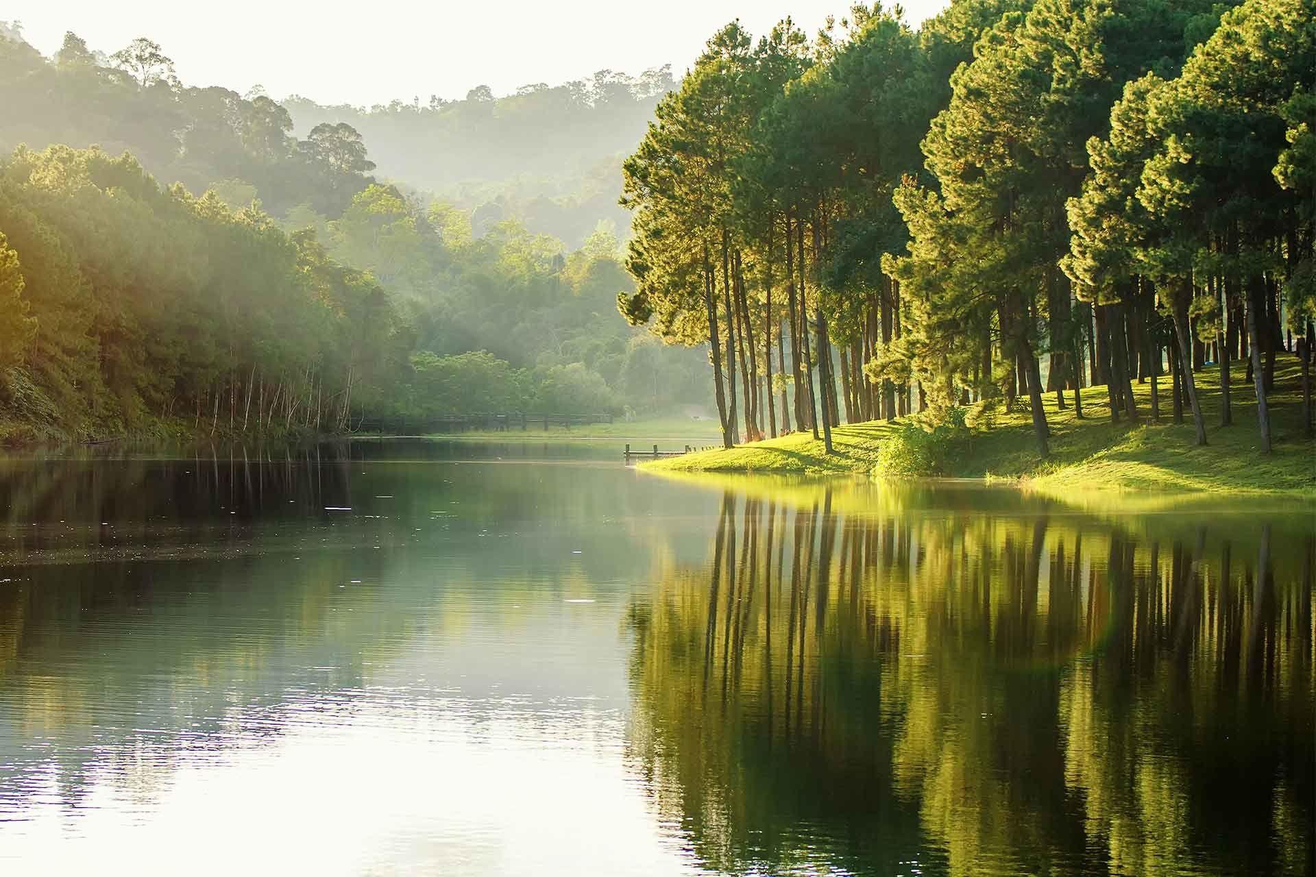 A peaceful sunset landscape featuring a lake and blooming cherry blossom trees.
